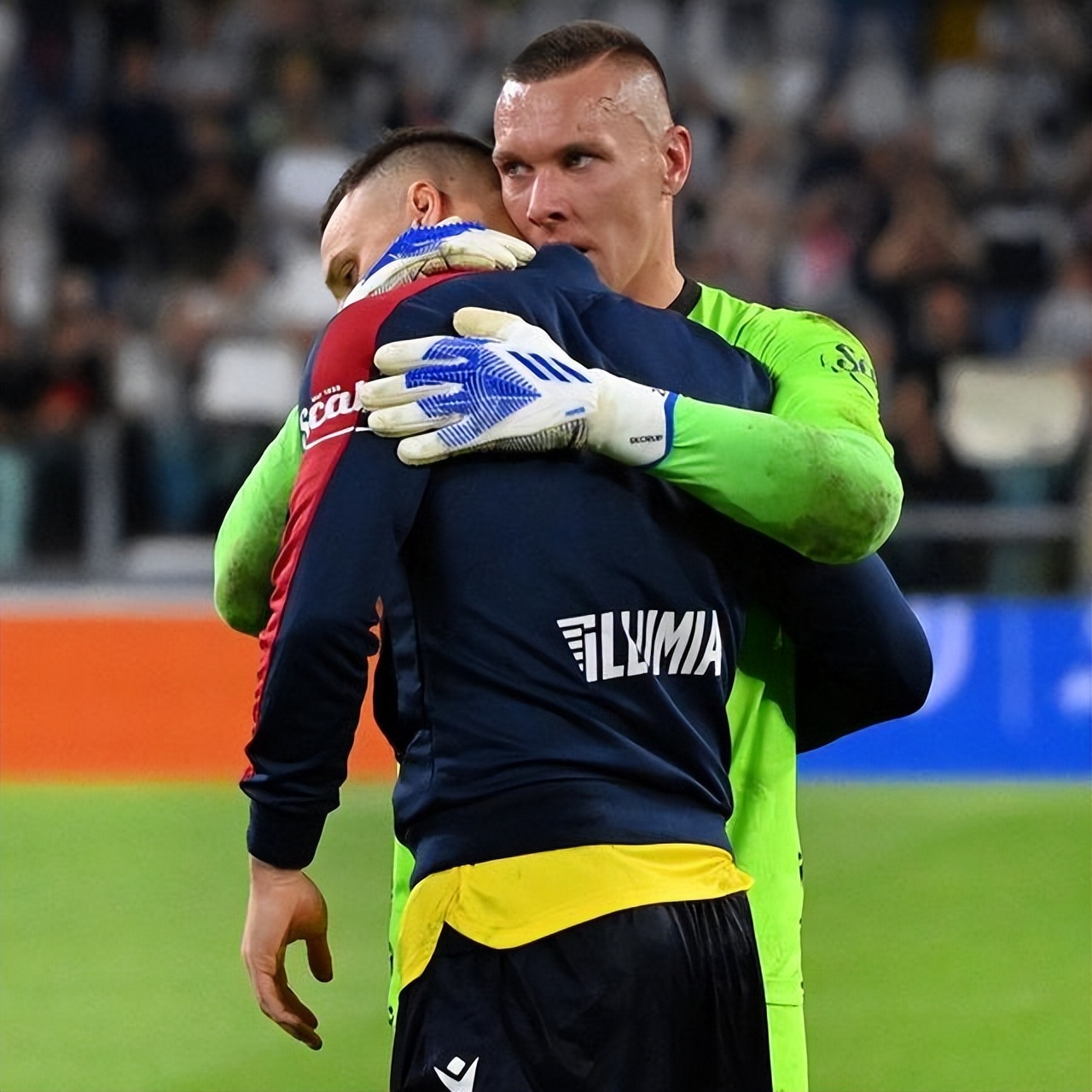 一词似乎很 一词似乎很