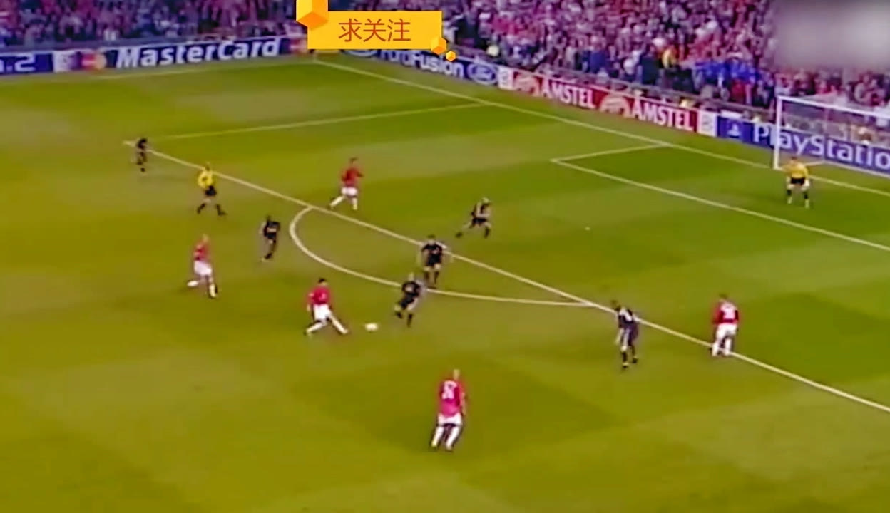 多样化的课 多样化的课